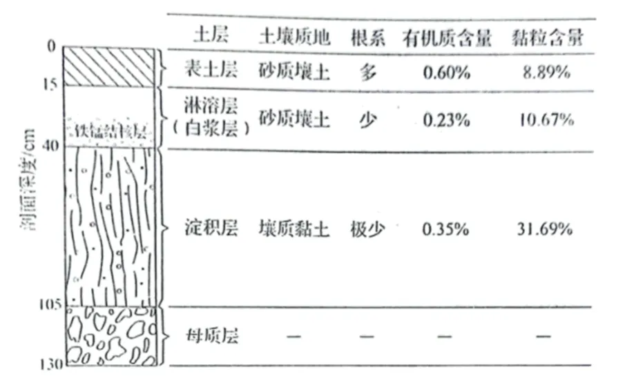 2023年山东卷高考试题解析