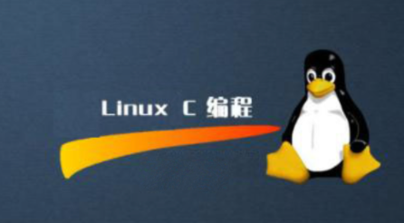 码农必备：Linux C/C++编程课